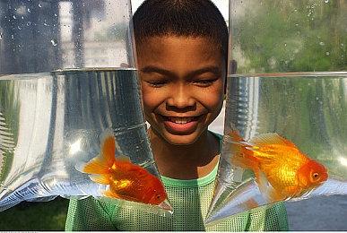 《多重人生》销量达28万份！官方发文庆祝